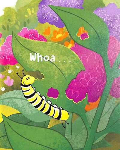 Ms Rachel: The Caterpillar Song (Hardcover)