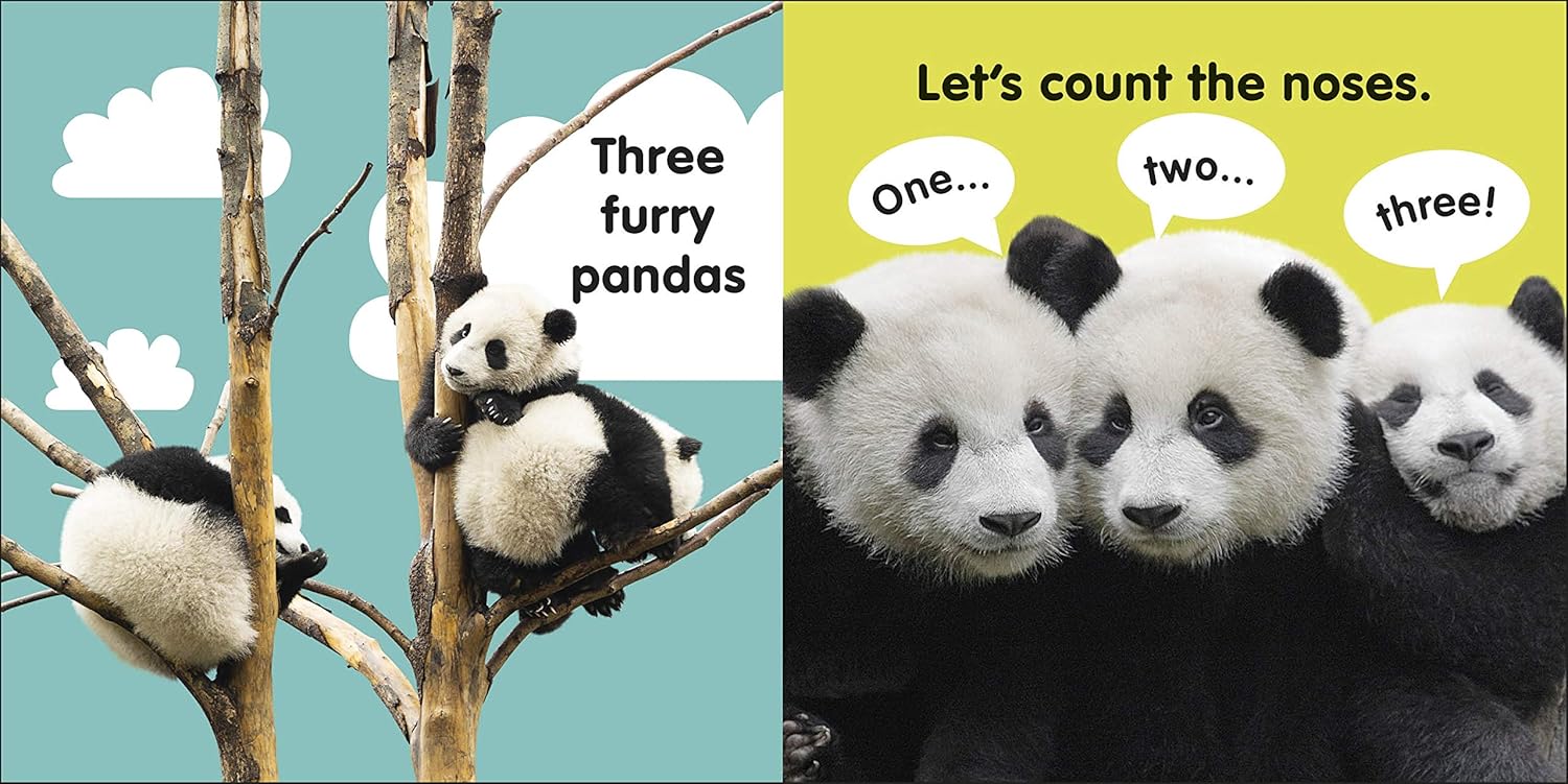 Baby Touch and Feel Panda (Paperback)