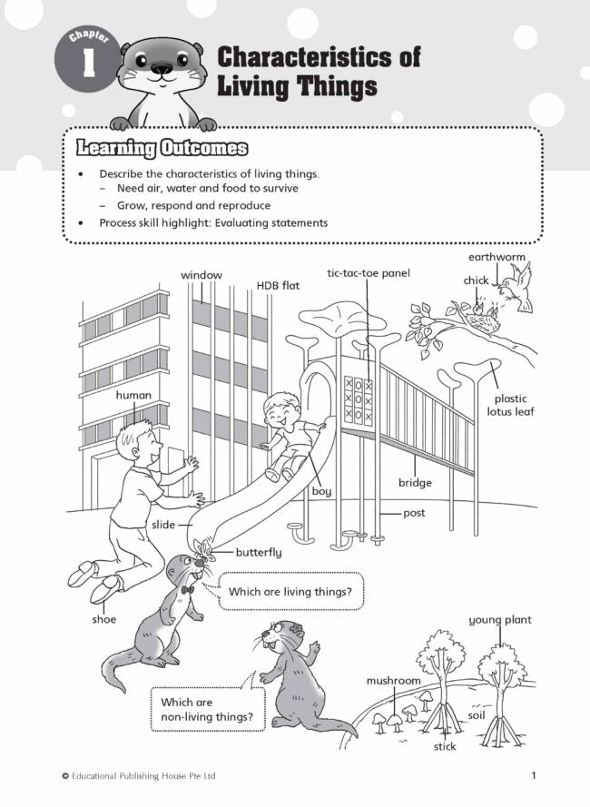 Primary 3 Must Know Science Process Skills & Key Words (2nd Edition)