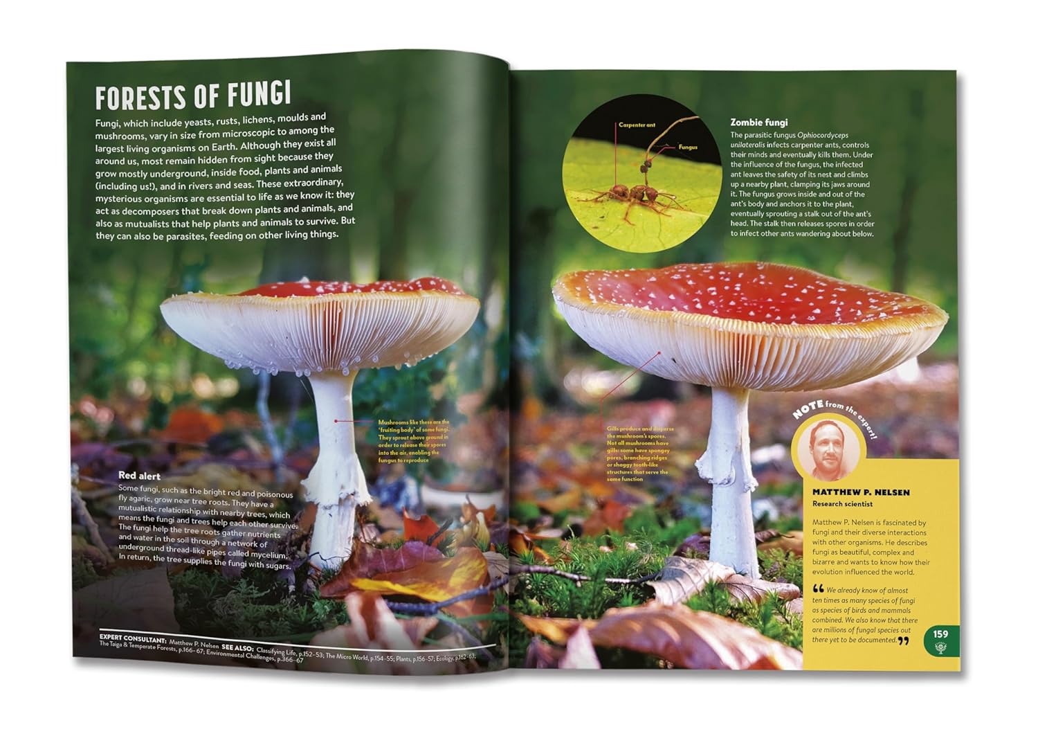 Britannica All New Children Encyclopedia