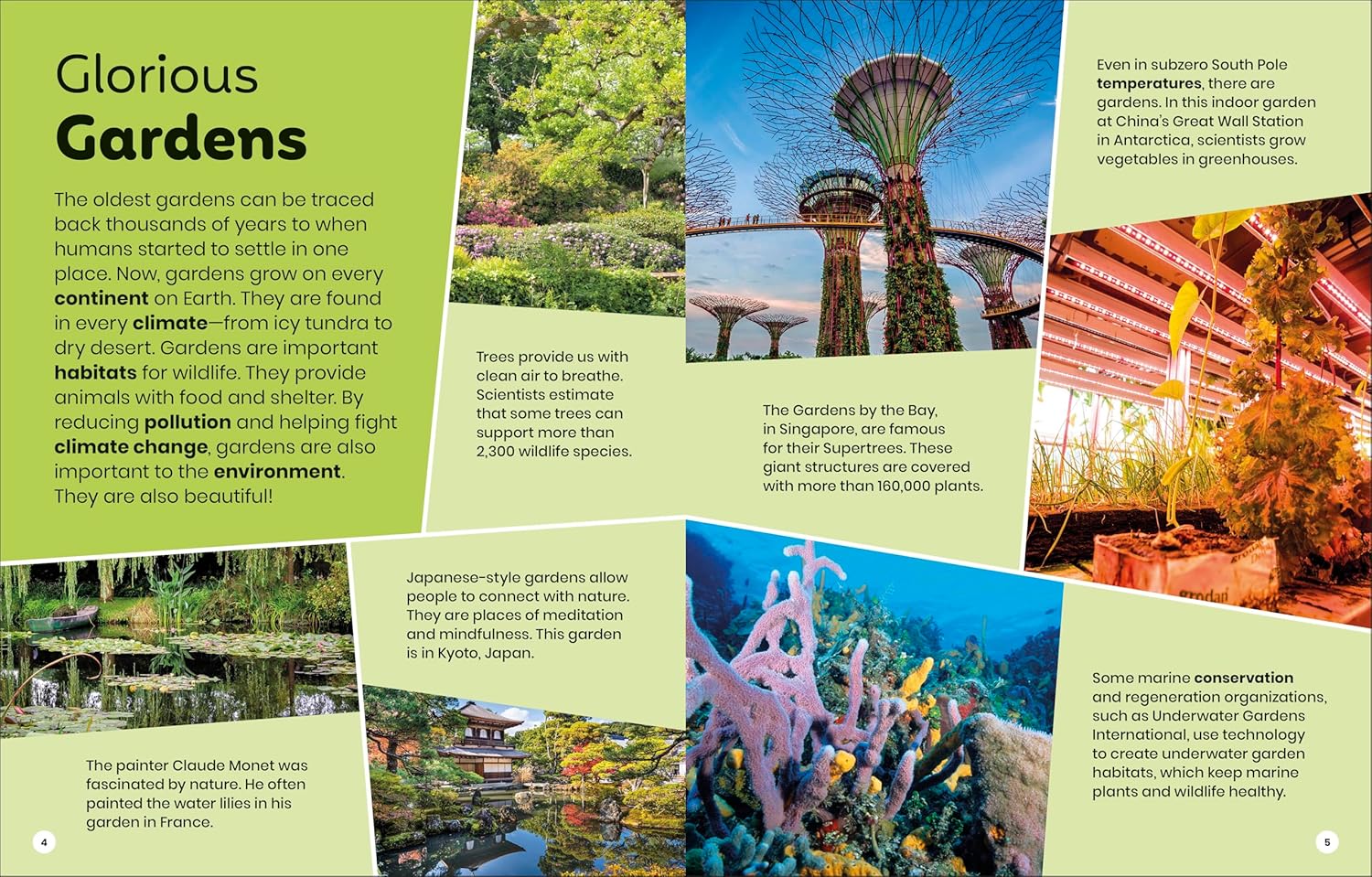 DK Super Planet Global Gardens (Paperback)