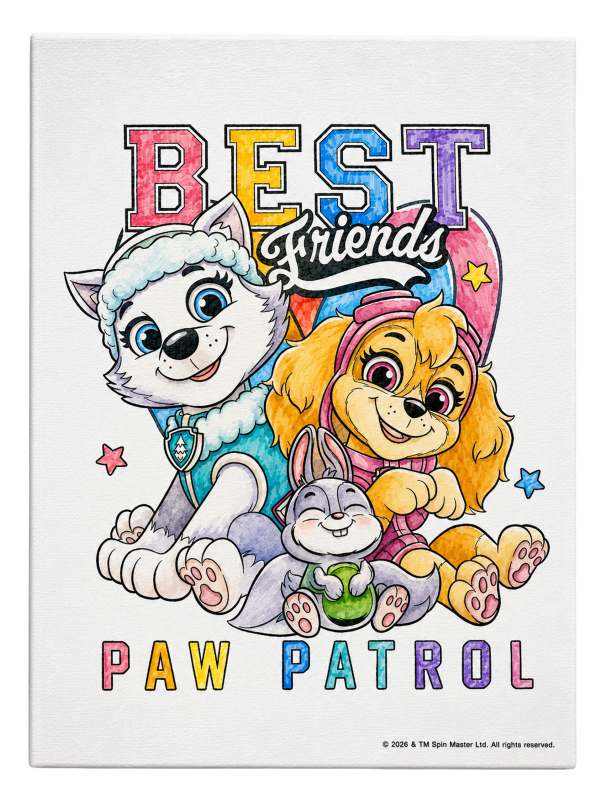Paw Patrol Canvas Colouring Set 15 x 20cm-7 