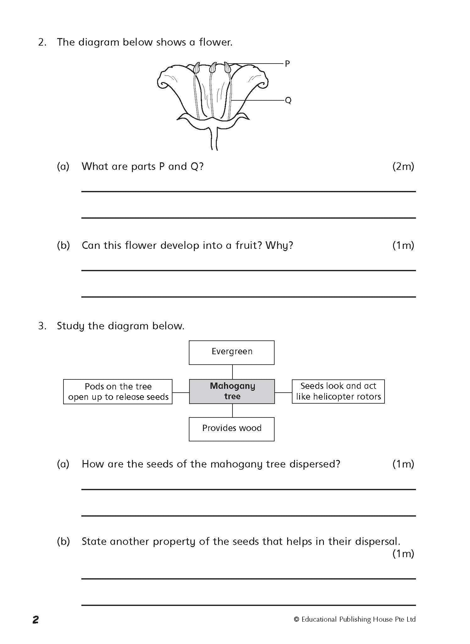 Upper Block Janet Sim’s Science OEQs