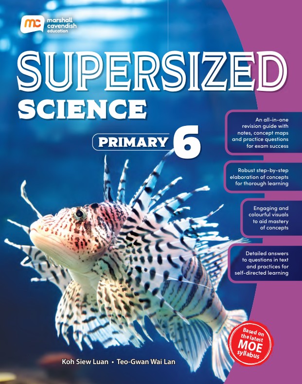 P6 Science Supersized