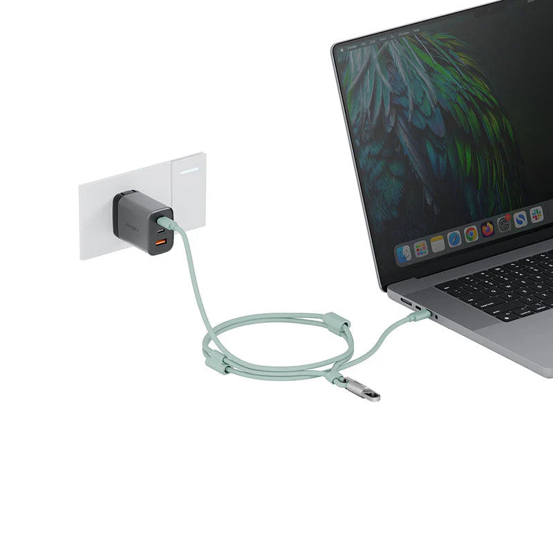Energea Lasso Lanyard C-C Cable - Sage