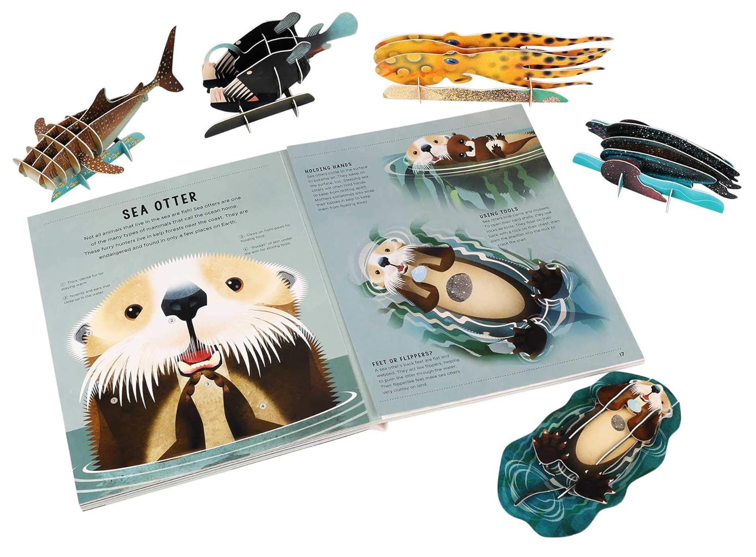 Amazing Earth: Oceans (Hardcover)