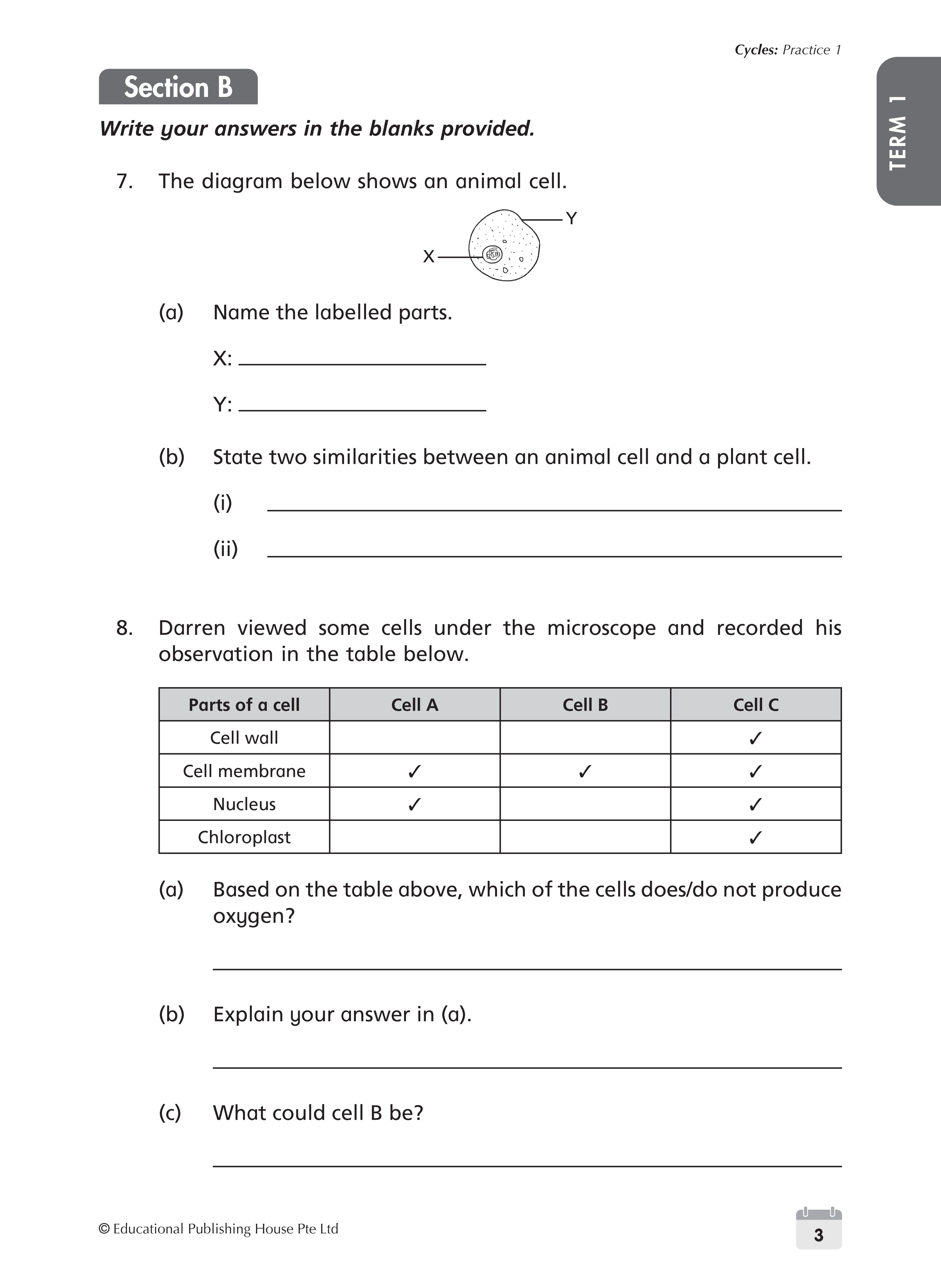 Primary 5 Science Weekly Revision - 3rd Edition