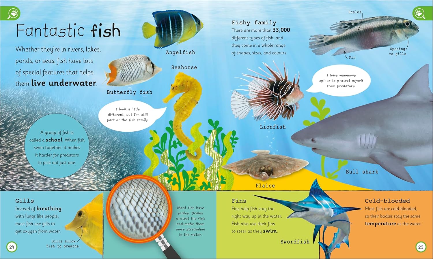 My Encyclopedia of Very Important Animals: For Little Animal Lovers Who Want to Know Everything (Hardcover)