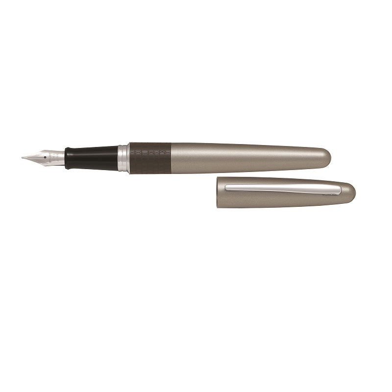 PILOT MR2 SERIES FOUNTAIN PEN, FINE NIB LIZARD DESIGN