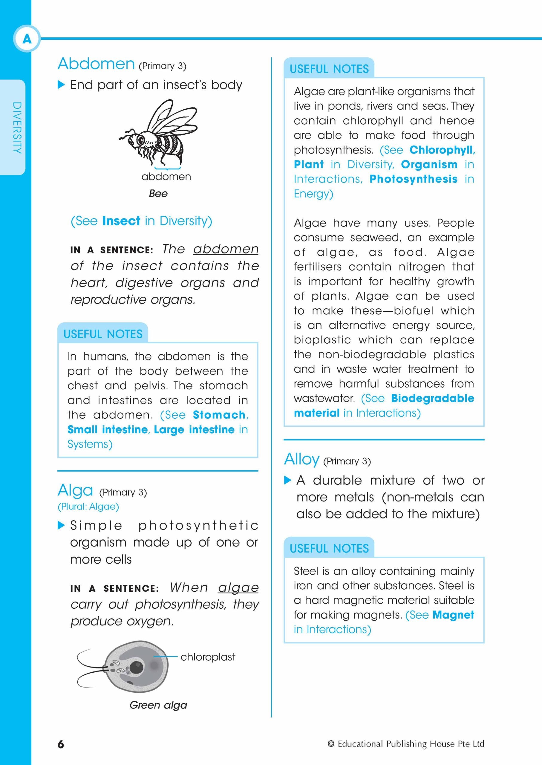 Primary 3-6 Science Thematic Dictionary (3rd Edition)