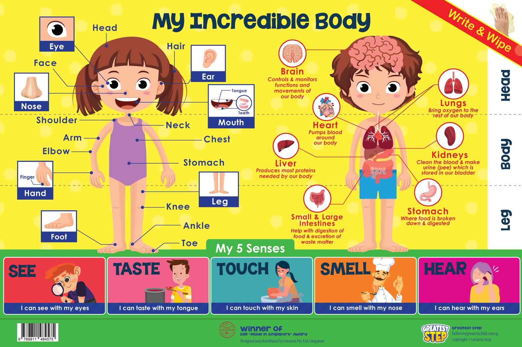 My Incredible Body Poster