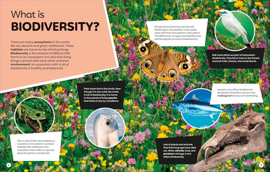 DK Super Planet Beautiful Biodiversity (Paperback)