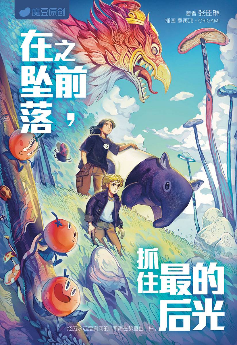 魔豆原创 92: 在坠落之前, 抓住最后的光