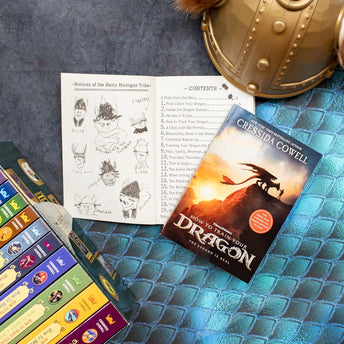 How To Train Your Dragon (Paperback)