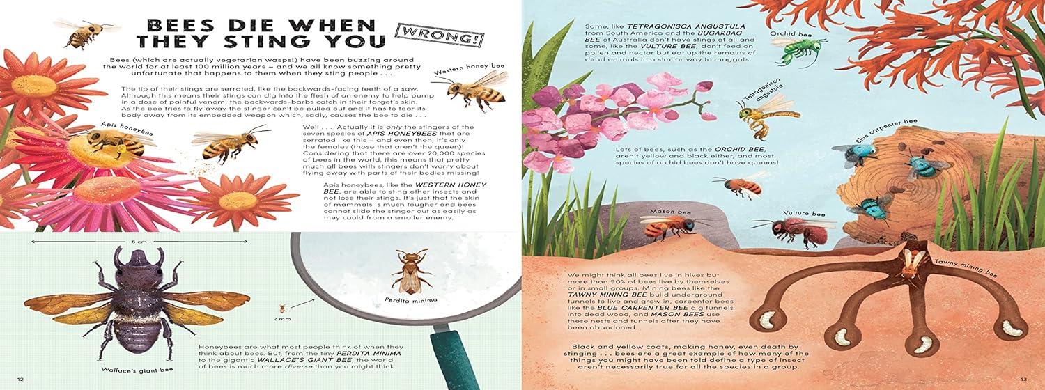 Everything You Know About Minibeasts is Wrong!