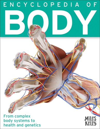 MK ENCY OF BODY (384P)