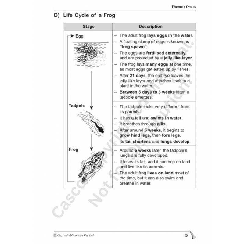 100% Science Process Skills Primary 4