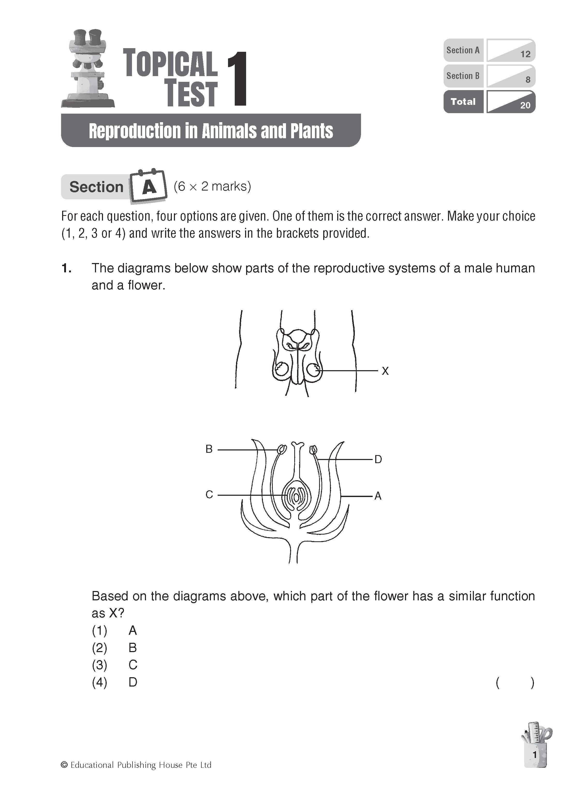 Primary 5 Science Topical And Thematic Tests