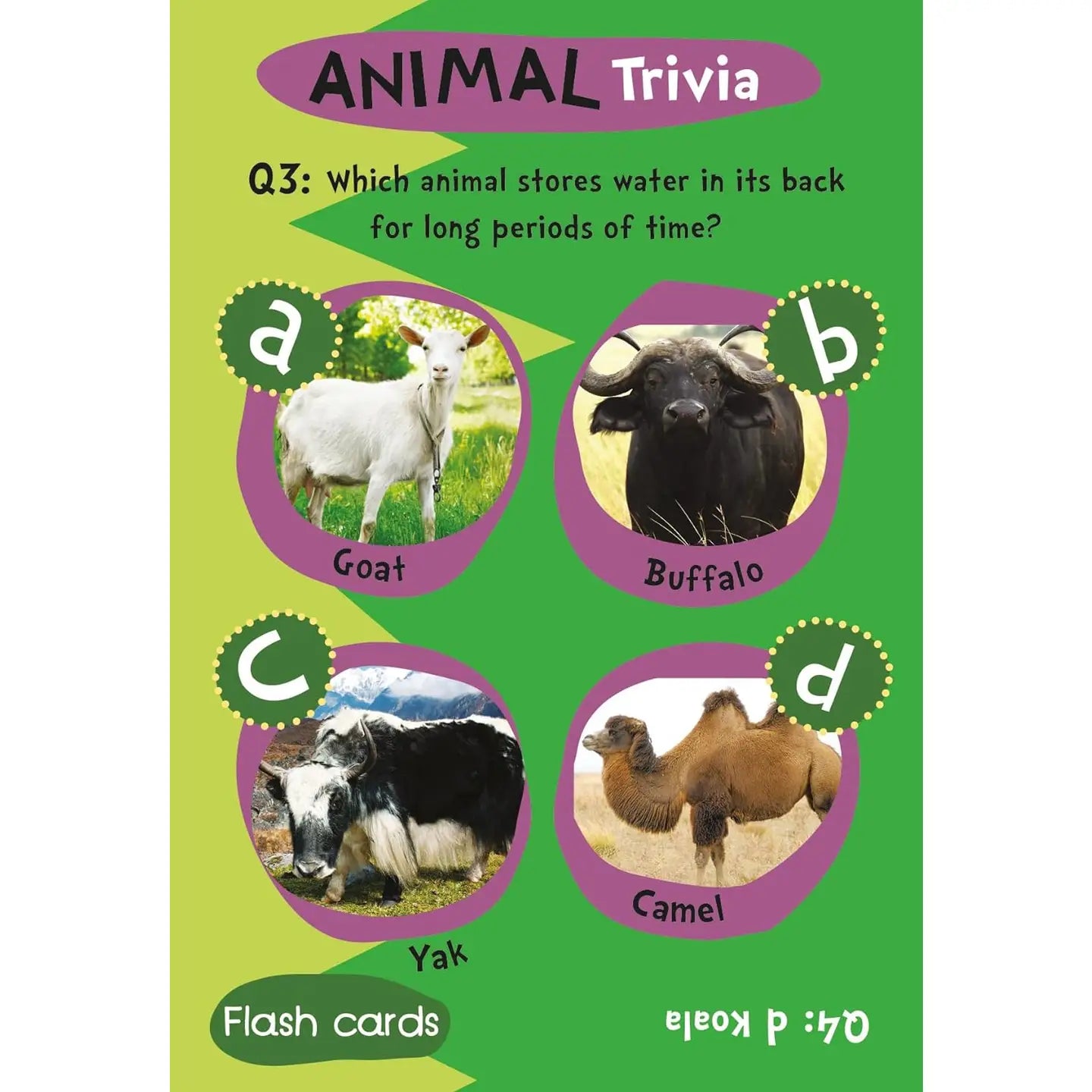 Flash Card Gift Set - Animal Trivia