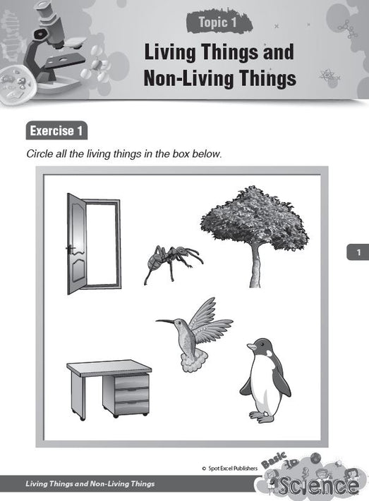 Pre-school Basic Science
