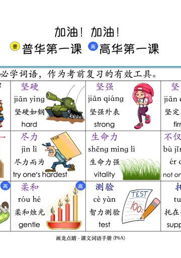 P6A 画龙点睛-普华/高级课文词语手册