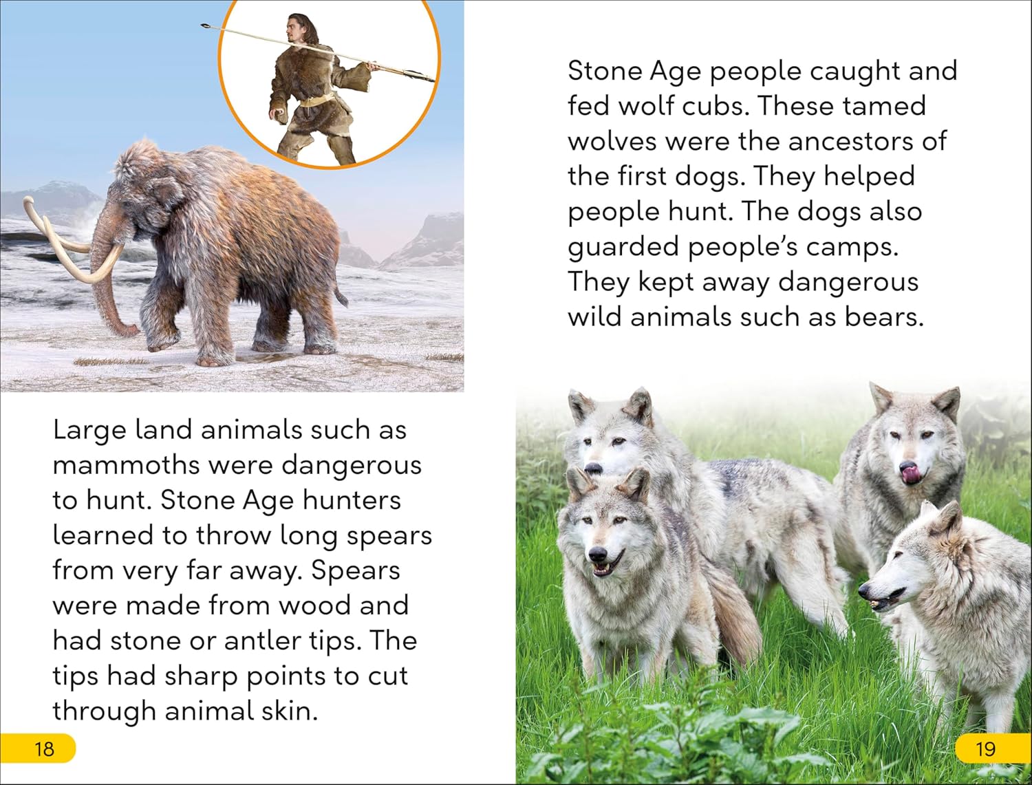 Life In The Stone Age (DK Super Readers Level 2) – Paperback