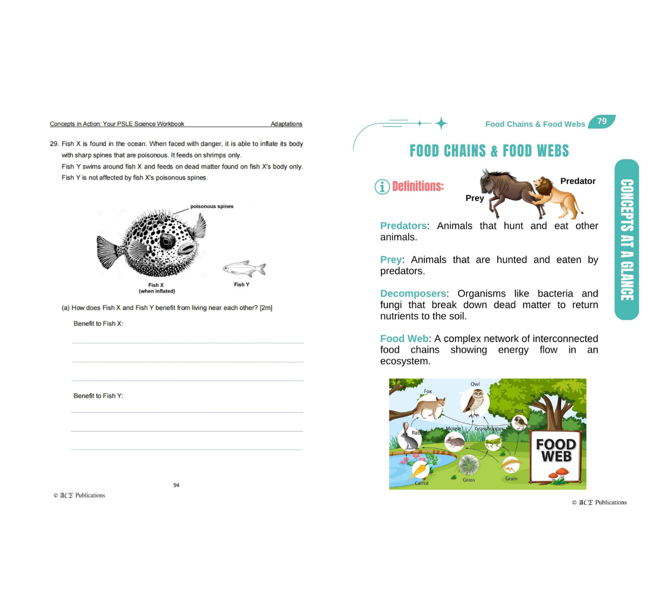 Primary 6 Science Bundle – Life Sciences (Get Your Concepts Right + Concepts In Action)