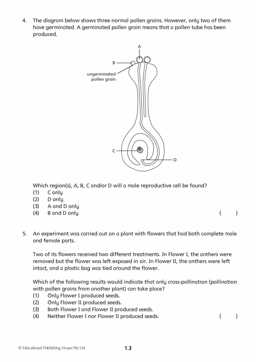 Primary 5 Science Mid-Year Review Papers