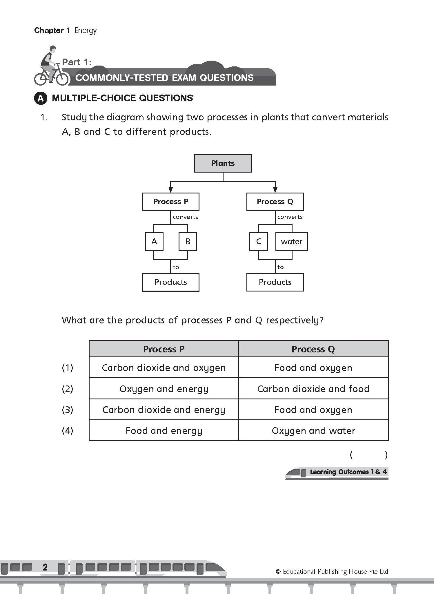 Primary 6 Science Commonly-Tested & Challenging Examination Questions