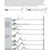 IGCSE and O-Level Physics Guide and Practice Book 2