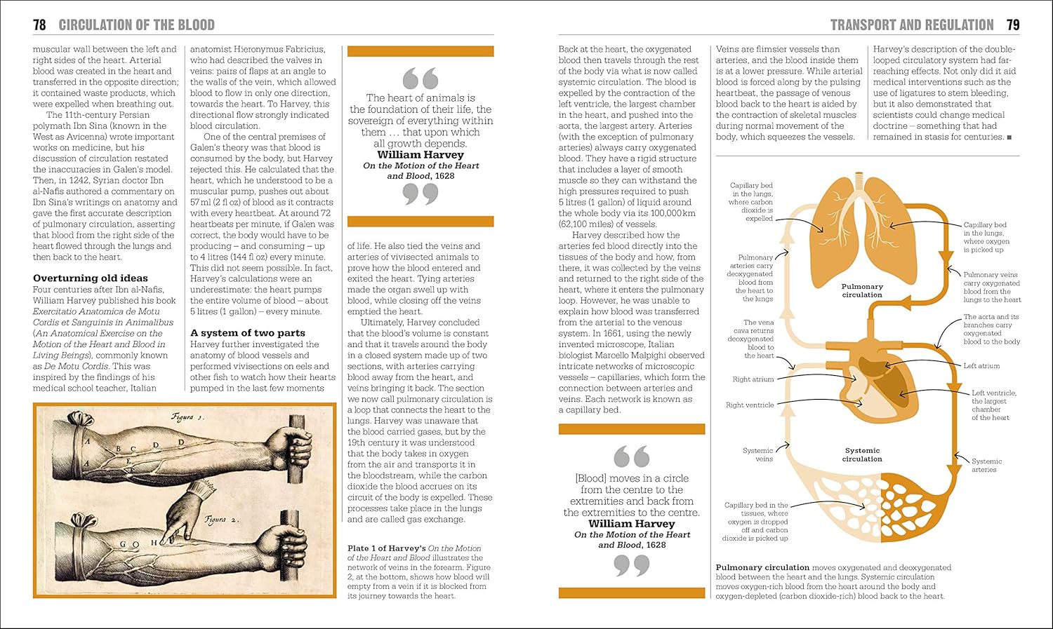 The Biology Book: Big Ideas Simply Explained (Hardcover)