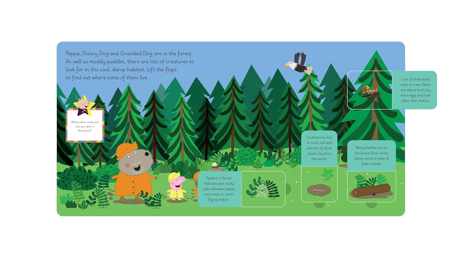 Peppa's Animal Habitats (Learn with Peppa)