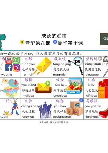 P5B 画龙点睛-普华/高级课文词语手册