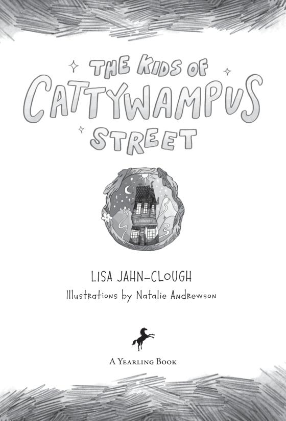 The Kids Of Cattywampus Street (Paperback)