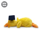 Uw 12 Graduation Yellow Duck