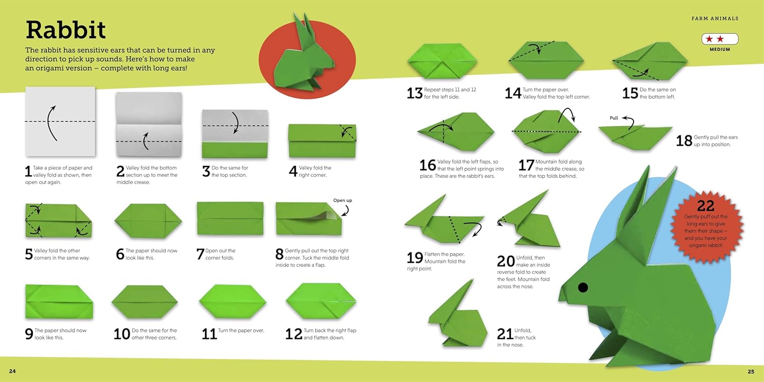 Origami: Includes a Book of Instructions and 120 Sheets of Origami Paper (Paperback)