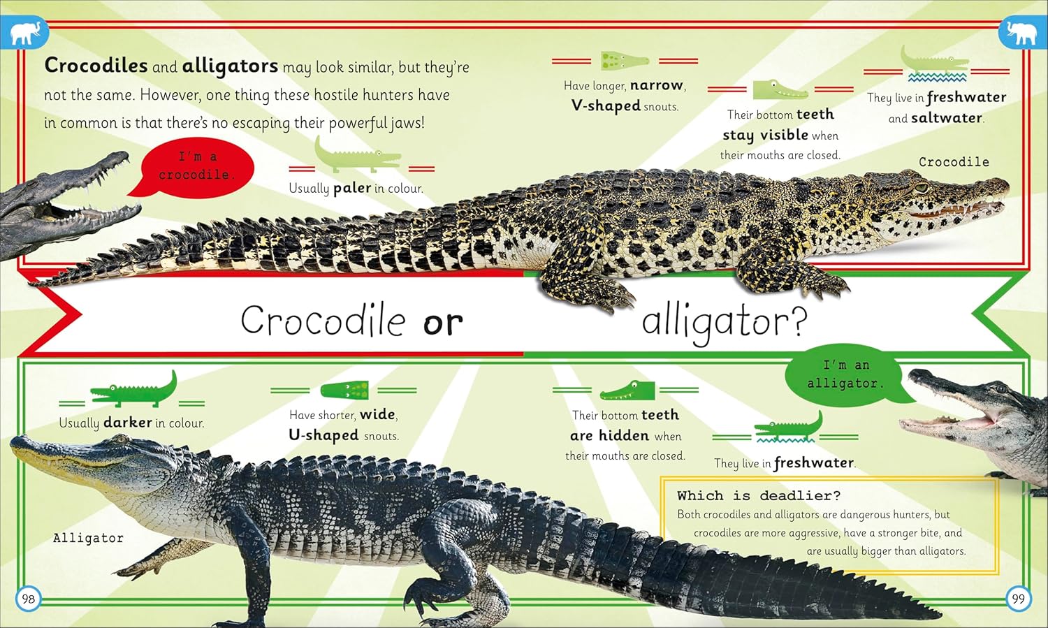 My Encyclopedia of Very Important Animals: For Little Animal Lovers Who Want to Know Everything (Hardcover)