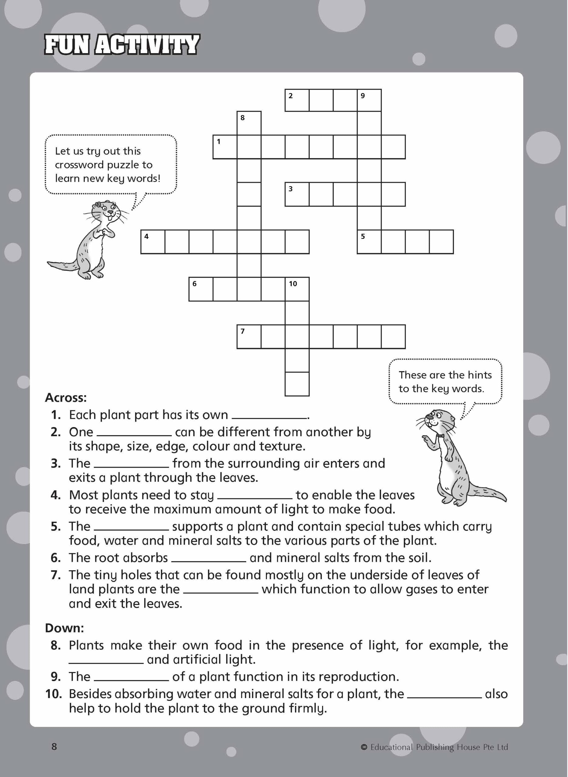 Primary 4 Must Know Science Process Skills & Key Words (2nd Edition)