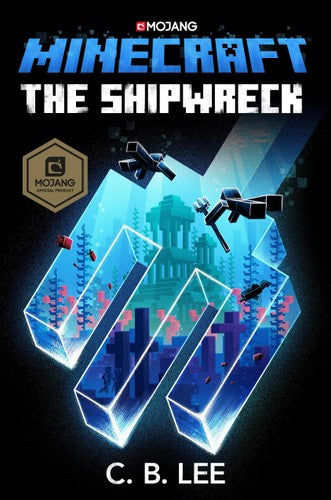 Minecraft #06: The Shipwreck