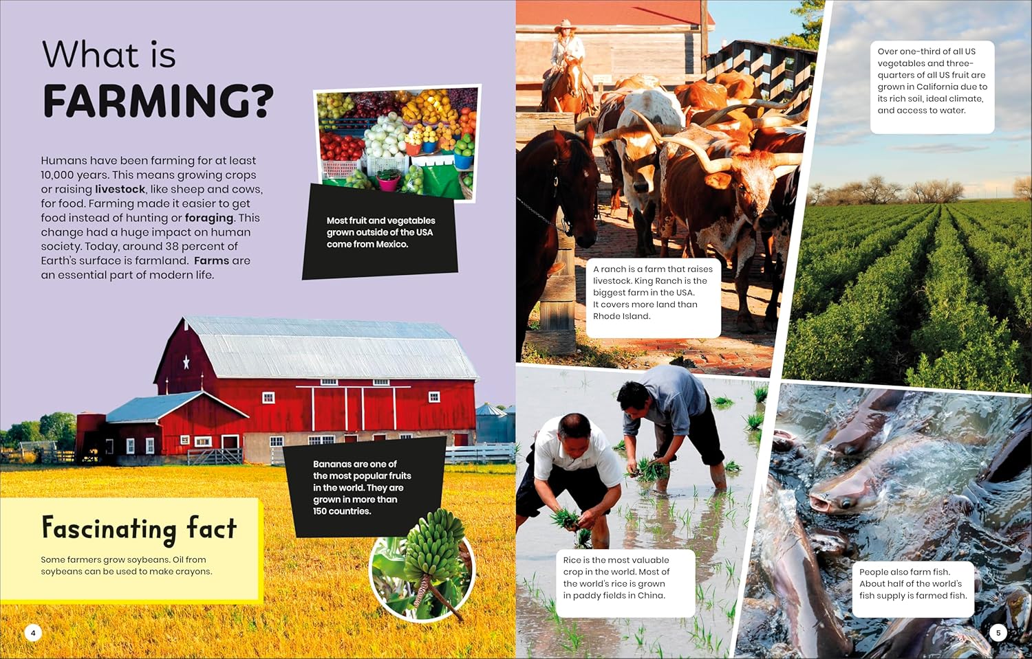 DK Super Planet Farming And Food Security (Paperback)