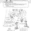 Primary 5 Must Know Science Process Skills & Key Words (2nd Edition)