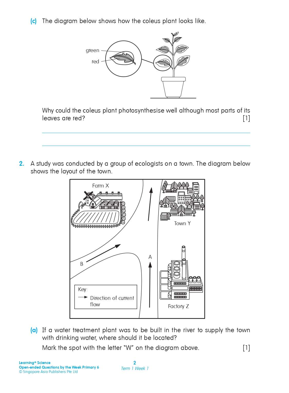 LEARNING+ SCIENCE Open-ended Questions by the WEEK Workbook 6