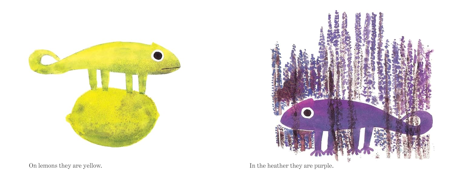 A Color of His Own with Color Wheel (Board Book)