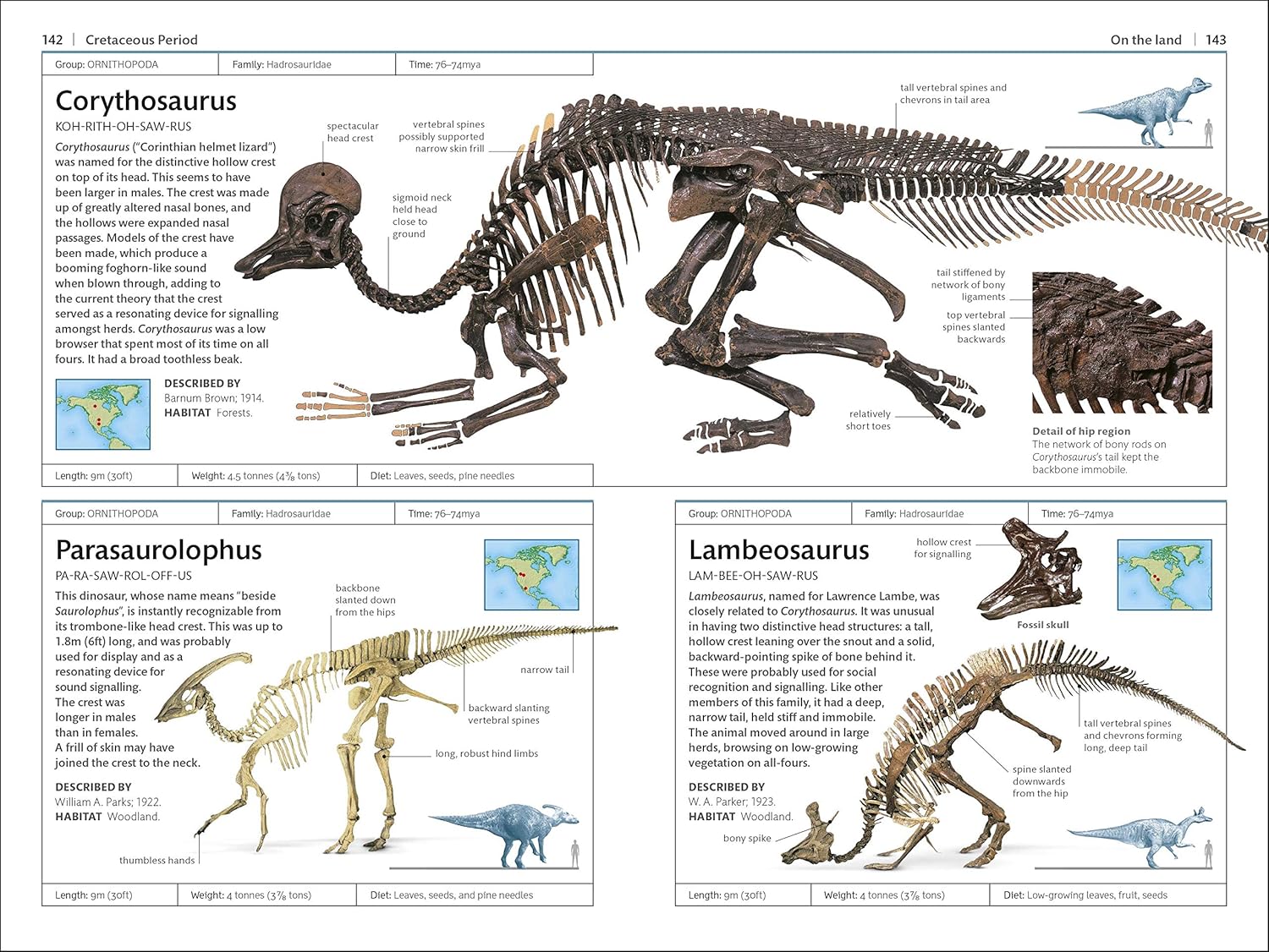Dinosaurs and Other Prehistoric Life Handbook