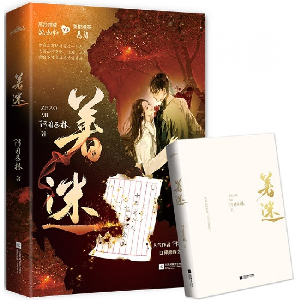 着迷/江苏文艺