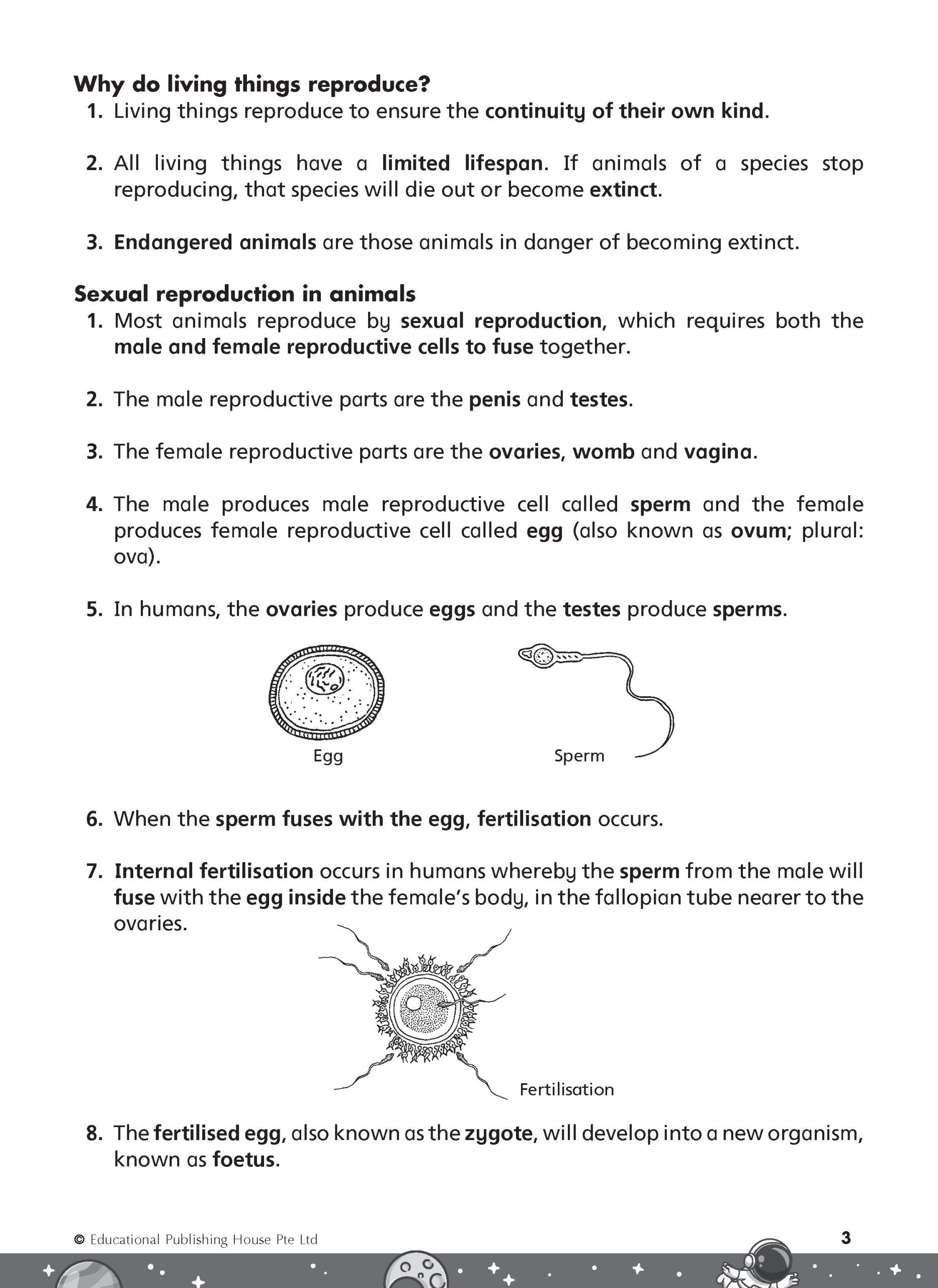 Primary 5 Rise To Excel In Science