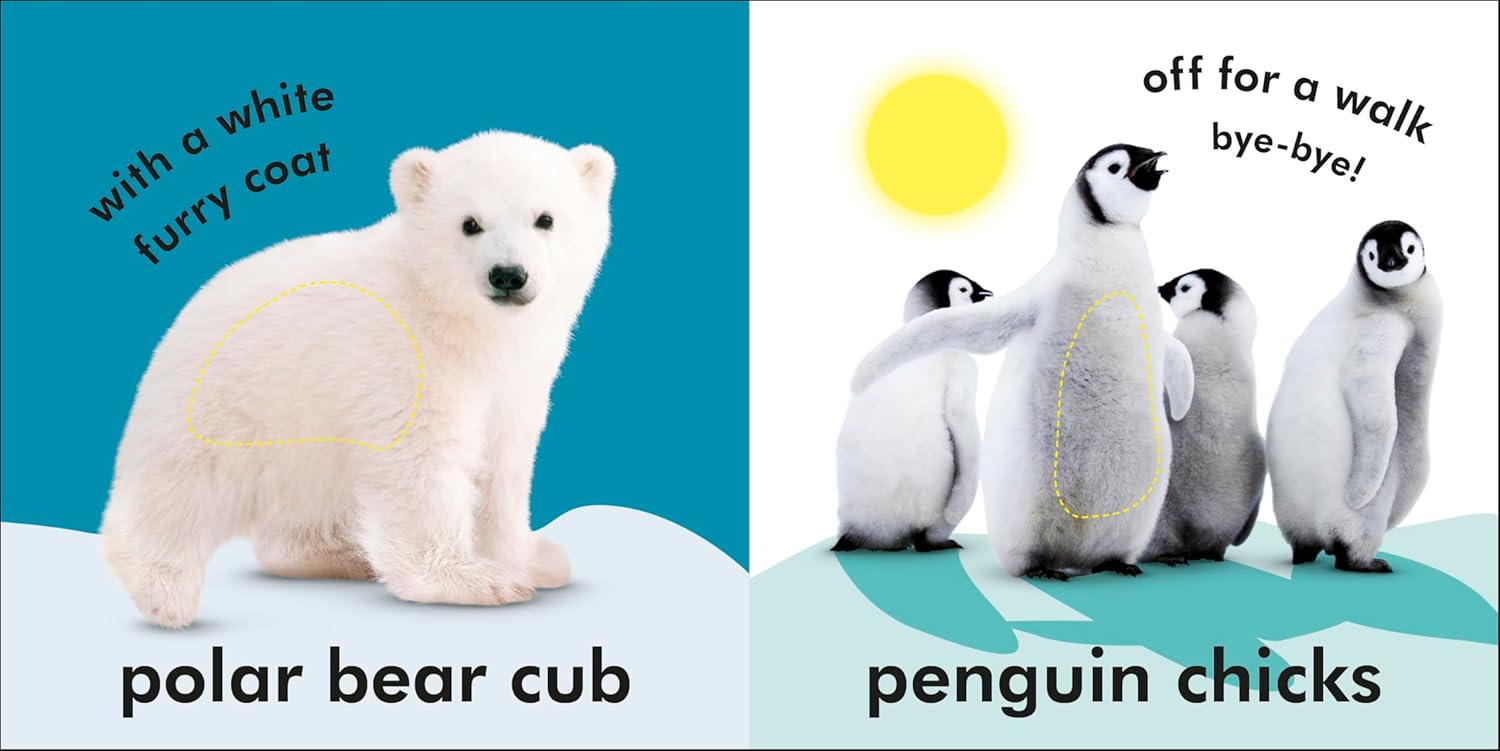 Baby Touch and Feel Fluffy Animals (Board Book)