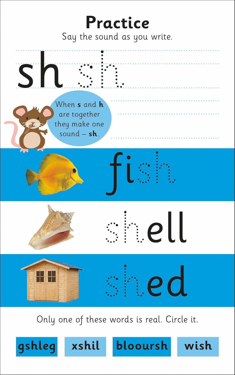 Wipe Clean Activity Flashcards: Phonics (Paperback)