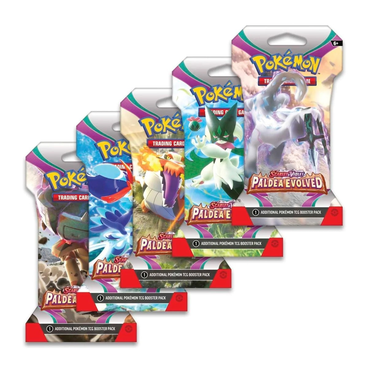 POKEMON TCG SV2 PALDEA EVOLVED SLEEVED B