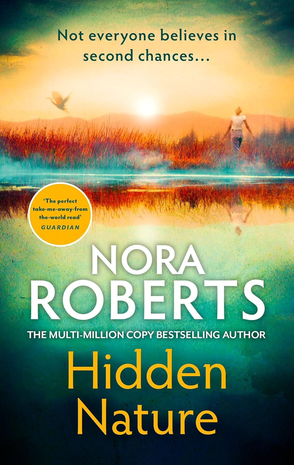 Hidden Nature (Paperback)